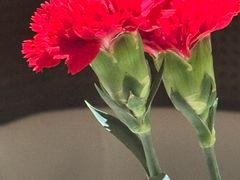-華府Deluxe(兴业太古汇店)