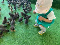 -萌宠亲子动物乐园(槐房万达店)