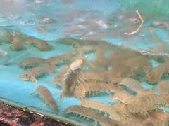 -明记海鲜城（新港西路店）-立体停车场