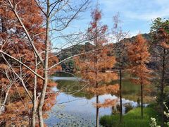 -广州市石门国家森林公园