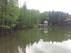 -四明山国家森林公园