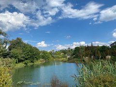 -青岩古镇