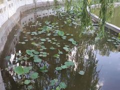 -丰台花园