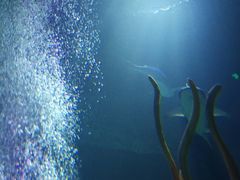 -沈阳海洋探索中心