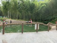 -午潮山国家森林公园