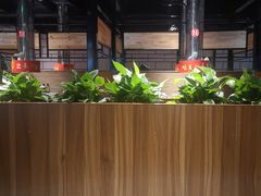 -山之屋炭火烧肉·生啤畅饮(大朗万科中央公园店)