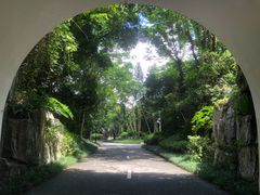 -深圳国际园林花卉博览园