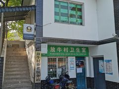 -南山植物园