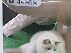 -PO PARK东方宝泰