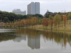 -东莞植物园
