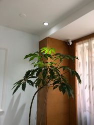 -HEYAN荷妍专业脱毛连锁机构