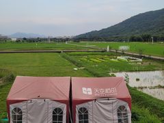 -艾米稻香小镇