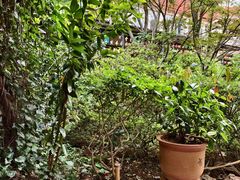 -阳光山水江湖菜馆(西山龙门店)