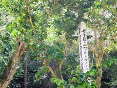 -日军最后司令部遗址