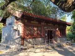 -元大都城垣遗址公园