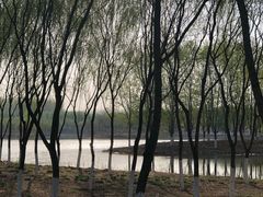 -东郊湿地公园
