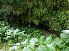 -海口火山口国家地质公园