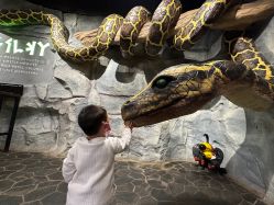 -Zoolung Zoolung动物主题公园(海信广场店)