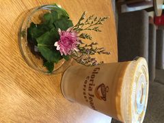 Gloria&nbsp;Jean's&nbsp;Coffees(浦东南路店)-Gloria Jean's Coffees