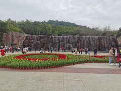 -神光山国家森林公园