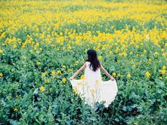 -三圣花乡旅游区