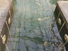 -观唐（国际）度假村温泉