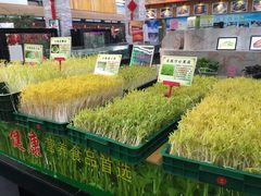 -森谷美食公园(杨行店)