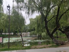 -万泉公园