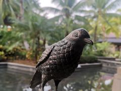 -海南清水湾莱佛士酒店