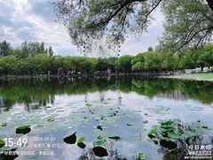 -青城公园