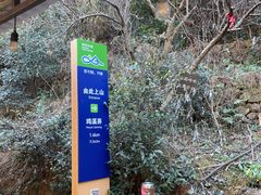 -午潮山国家森林公园