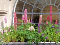 -庐州太太(CBD店)