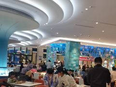 -帝企鹅自助餐厅•儿童岛•真企鹅(长隆企鹅酒店)