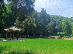 -古隆中景区