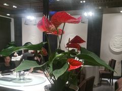 -松鹤楼(山塘街店)