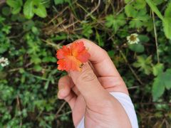 -石棉县孟获城