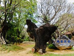 -云南勐巴娜西珍奇园