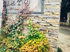 -重庆彩云湖湿地公园