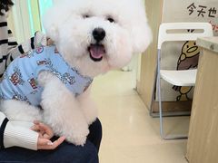 -芭比堂动物医院广州顽皮分院