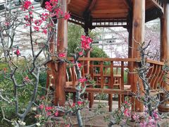 -燕郊植物园