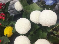 -雪蔓之鲜花气球派对(家佳源时代中心店)