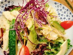 沙拉-千吉日本料理(日本一条街店)
