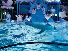 -珠海长隆海洋王国