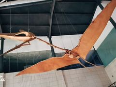 -湖南省地质博物馆