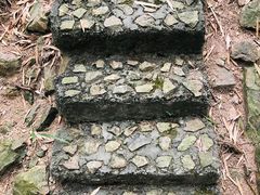 -上海佘山国家森林公园天马山园