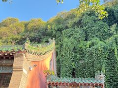 -千佛山风景名胜区