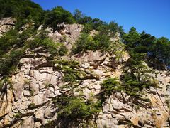 -青峰峡国家森林公园