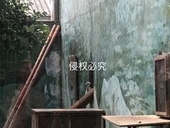-成都动物园