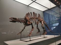 -湖南省地质博物馆