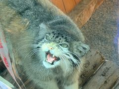-青藏高原野生动物园
